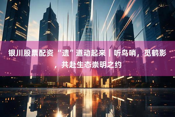 银川股票配资 “遗”道动起来｜听鸟哨，觅鹤影，共赴生态崇明之约