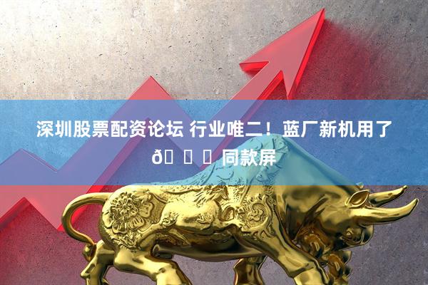 深圳股票配资论坛 行业唯二！蓝厂新机用了🍎同款屏